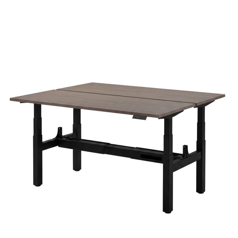 Elektrisch zit-sta bureau DUO