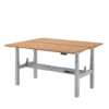 Elektrisch zit-sta bureau DUO