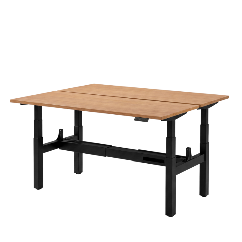 Elektrisch zit-sta bureau DUO