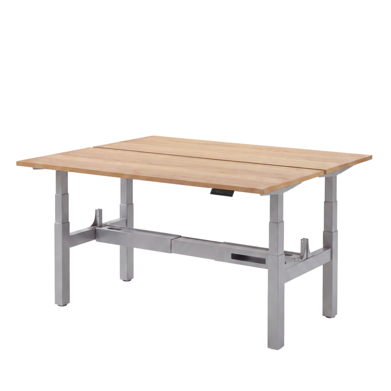 Elektrisch zit-sta bureau DUO
