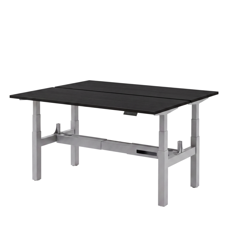 Elektrisch zit-sta bureau DUO