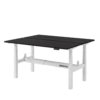 Elektrisch zit-sta bureau DUO